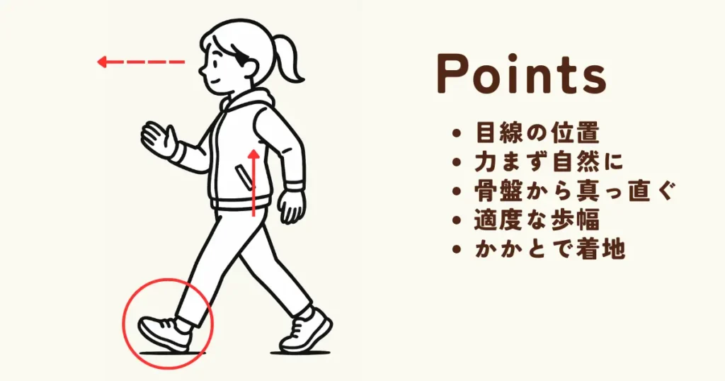 ウォーキングの正しい姿勢と歩き方のポイントを示したイラスト